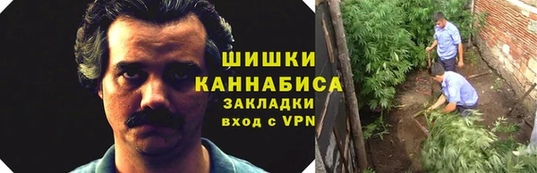 2c-b Балабаново