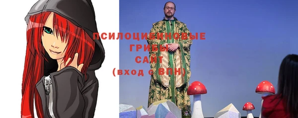 альфа пвп Надым