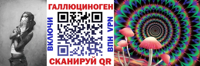 Псилоцибиновые грибы ЛСД  darknet какой сайт  Шацк  купить  
